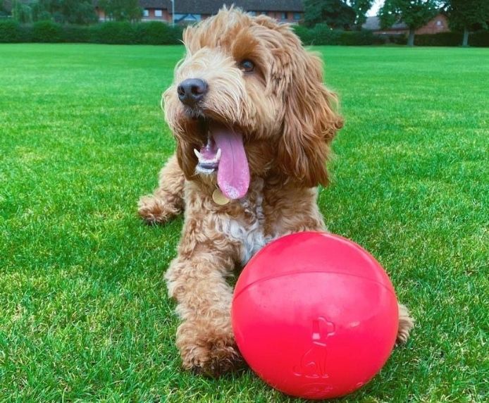 Boomer Balls